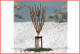 Auhagen 70951, EAN 4013285709519: Junge Bäume Winter (10 Stück)