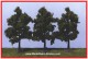 Heki 1731, EAN 4005950017319: 4 Obstbäume 9-11cm