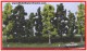 Heki 1762, EAN 4005950017623: 10 Bäume 14-18cm