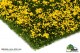 MBR-Model 50-2002, EAN 2000075220325: Blumen Gelb blühend 10cm x 15cm