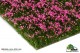 MBR-Model 50-2003, EAN 5903242344435: Blumen Rosa blühend 10cm x 15cm