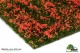 MBR-Model 50-2004, EAN 5903242344442: Blumen Rot blühend 10cm x 15cm