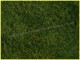 Noch 07280, EAN 4007246072804: Wildgras-Foliage hellgrün
