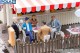 Pola 331531, EAN 4003261315315: G Sitzende Restaurantgäste