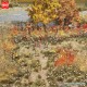 Busch-Zubehör 1224, EAN 4001738012248: H0 Ausgestaltungs-Set Goldener Oktober