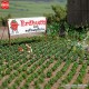 Busch-Zubehör 1265, EAN 4001738012651: H0 Erdbeerpflanzen