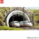 Busch-Zubehör 8195, EAN 4001738081954: N ICE-Tunnelportal