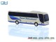 Rietze 74862, EAN 4037748748624: Coach`17 Peters Reisedienst