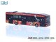 Rietze 76344, EAN 4037748763443: 1:87 Lion´s City 12 E VAG Nbg. 150 Jahre FW Nürnberg