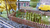 Modellbahn-Kramm und der Eisenbahnclub Rhein-Sieg zeigten an 2-Tagen Modellbahn Betrieb auf ber 20 laufenden Metern.