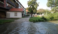 100 Jahre Dampflokwerk Meiningen & Stadtbesichtigung Erfurt